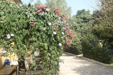 Photo 38