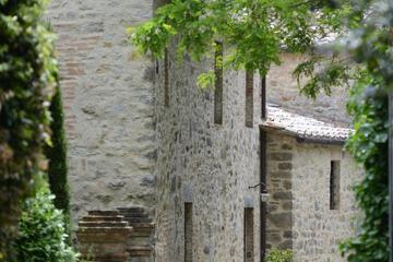 Photo 46