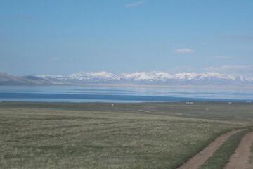 Photo 9