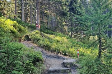 Hiking