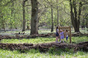 Children's activities
