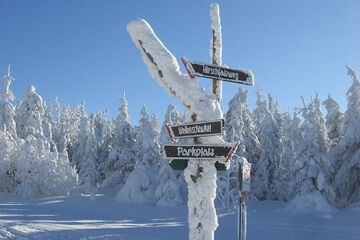 Snowshoeing