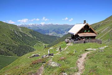 Photo 43