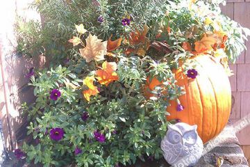 Hotel Interior or Public Areas