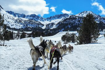 Snowshoeing