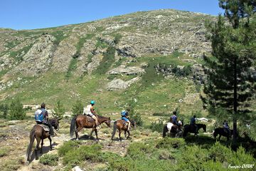 Horseback riding