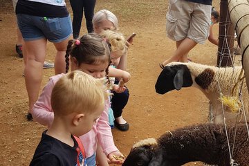 Children's activities
