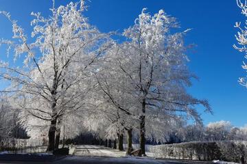 Photo 47