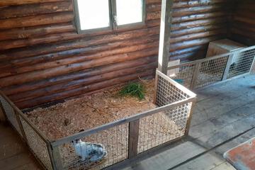 Photo 56