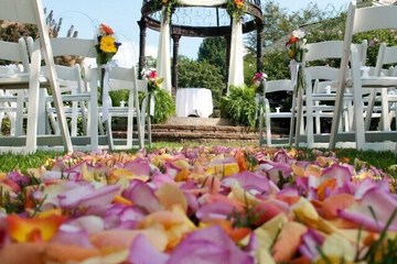 Outdoor wedding area