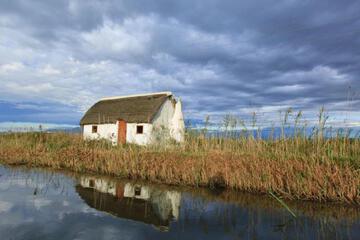 Photo 50