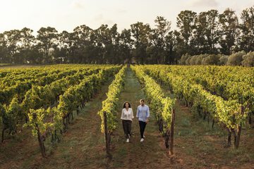 Winery