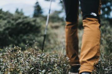 Hiking
