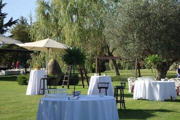 Outdoor wedding area