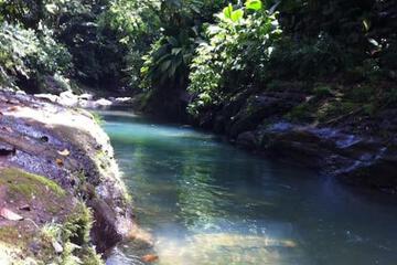 Photo 49
