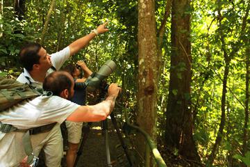 Ecotours