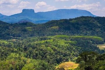 Mountain view