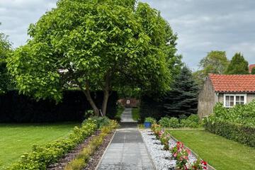 Photo 43