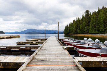 Dock
