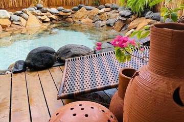 Natural pool