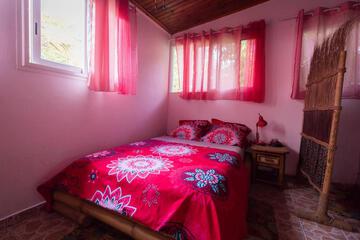 Photo 24