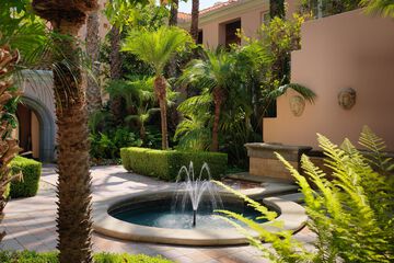 Garden view