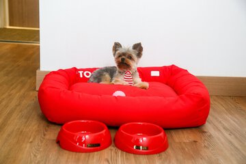 Pet-friendly amenities