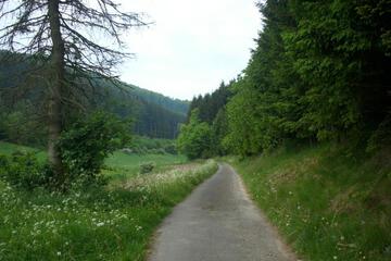 Photo 26