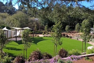 Outdoor wedding area