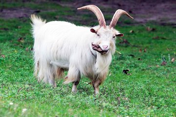 Ecotours