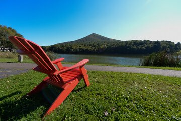 Property Grounds 40 of 41