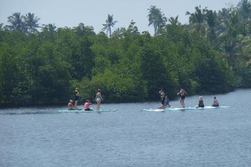 Photo 46