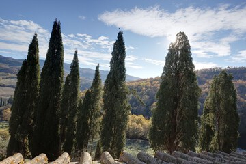Land view from property