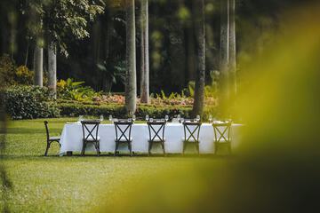 Outdoor wedding area