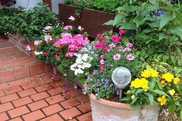 Photo 11