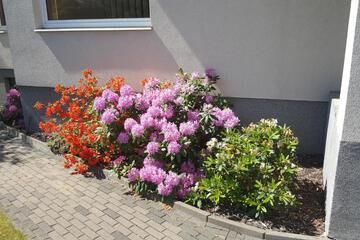 Photo 36