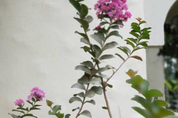 Photo 34