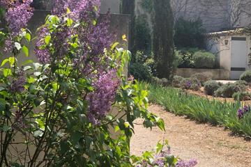 Photo 37