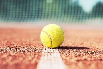 Tennis court