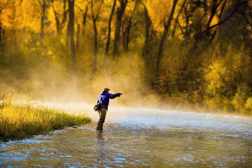 Fishing