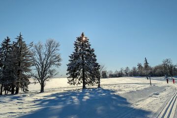 Skiing