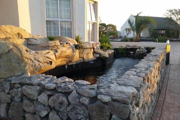Photo 66