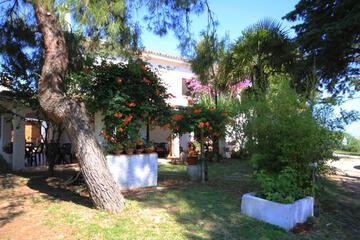 Photo 66