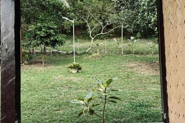 Photo 37
