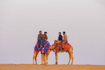 Safari