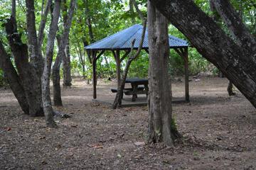 Photo 47