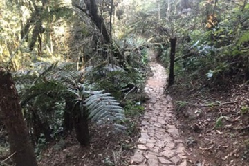Hiking