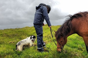 Horseback riding