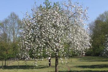 Photo 23