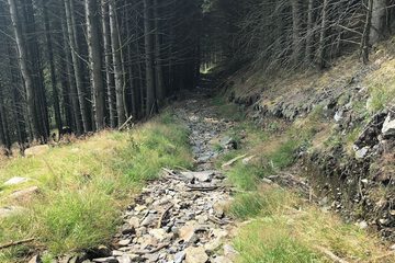 Hiking